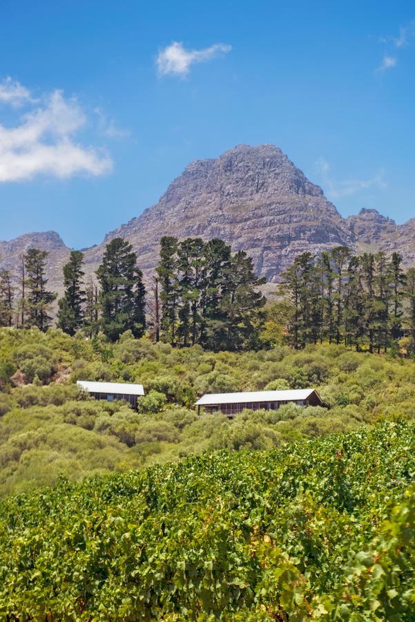 Bush Lodge At Hidden Valley Wines สเตลเลนบอช ภายนอก รูปภาพ