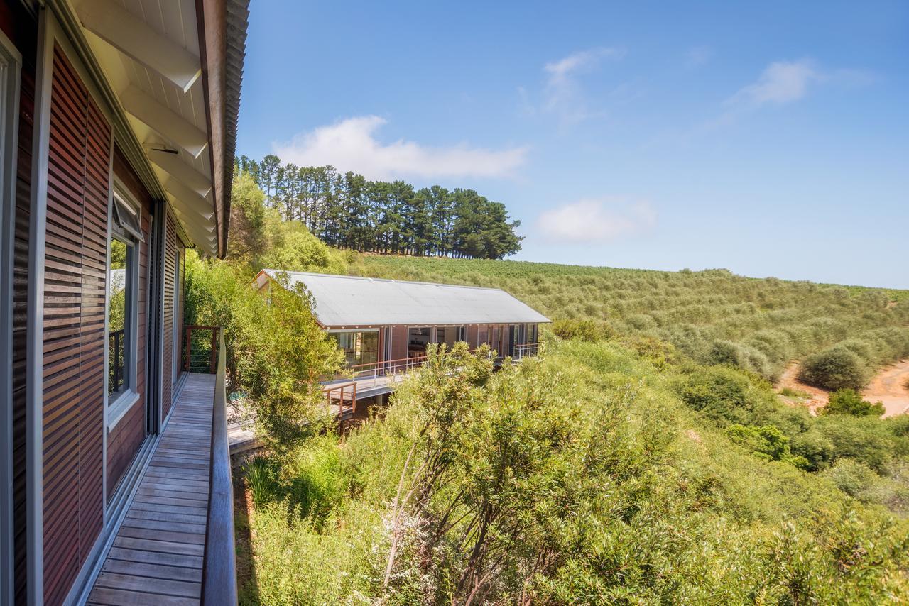Bush Lodge At Hidden Valley Wines สเตลเลนบอช ภายนอก รูปภาพ
